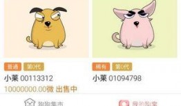 最新宠物爆料网站有哪些,盘点热门宠物资讯平台