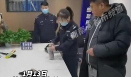 杭州钱哥最新爆料,最新爆料背后的真相与内幕
